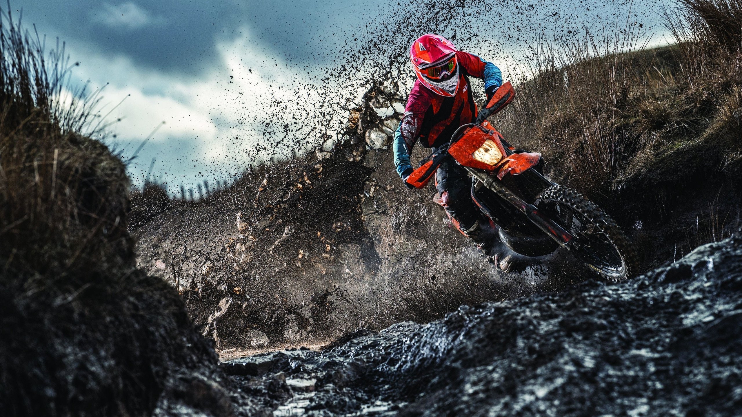 _历史性的决赛：世界冠军的荣耀时刻_，历届世界总决赛冠军